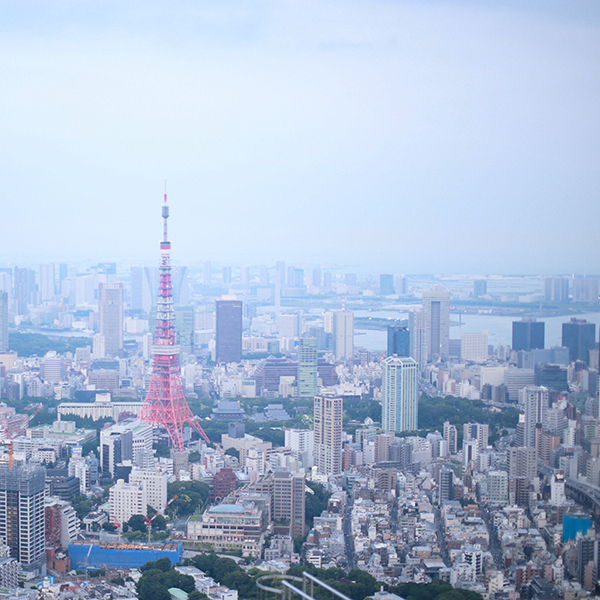 人口の多い首都圏